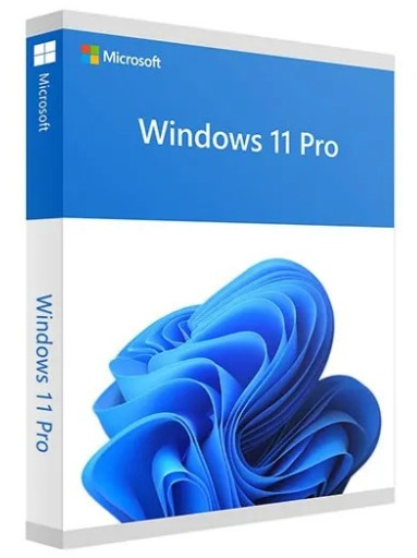 win11pro.png