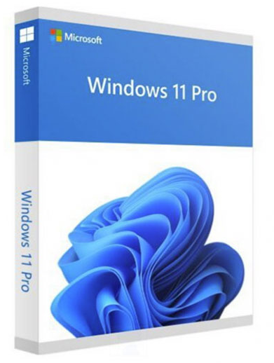 windown-11-pro.png